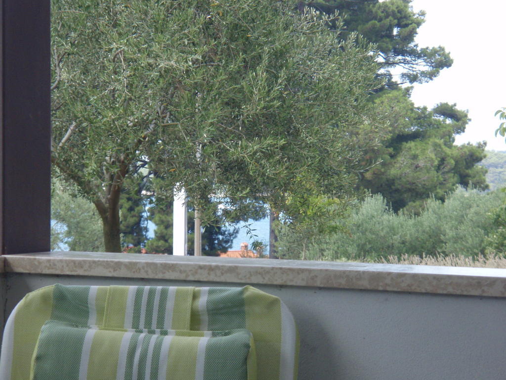 Guest House Zohil Rovinj Zimmer foto